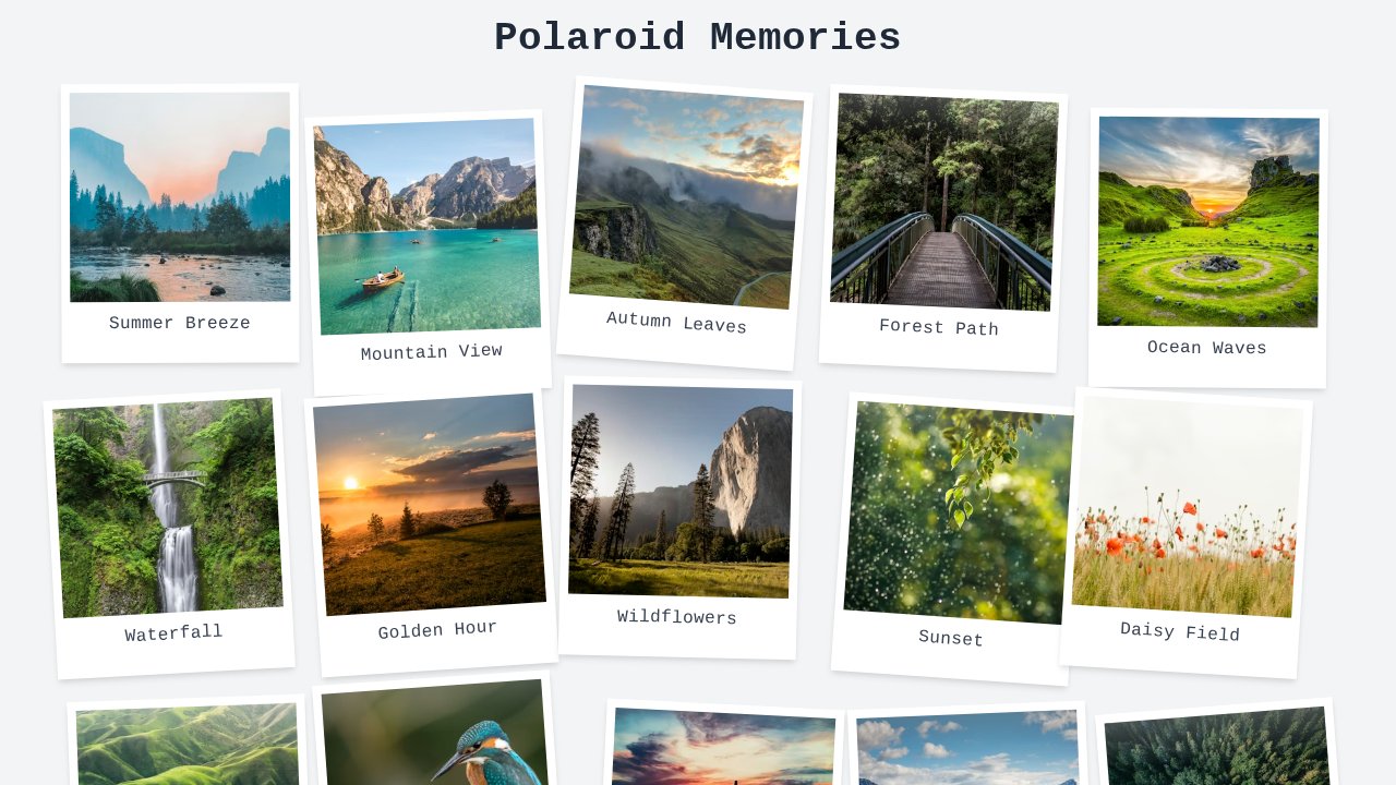 Polaroid Cards Wall